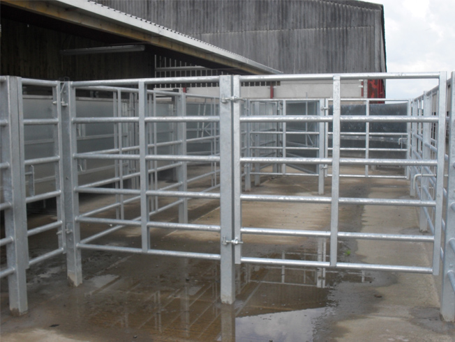 livestock handling pen fabrication services
